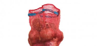 What is a mesh bag?